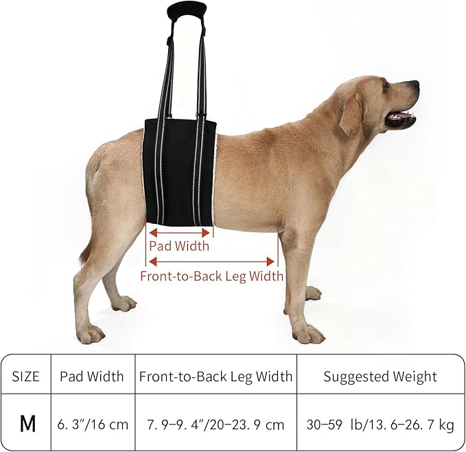 COODEO Adjustable Comfortable Dog Sling with Handle Hind Leg Support Soft Lift Support and Rehab Harness for Weak Rear Legs,Helps Senior, Injured, Disabled and After ACL Surgery Dogs Large (Black, M)