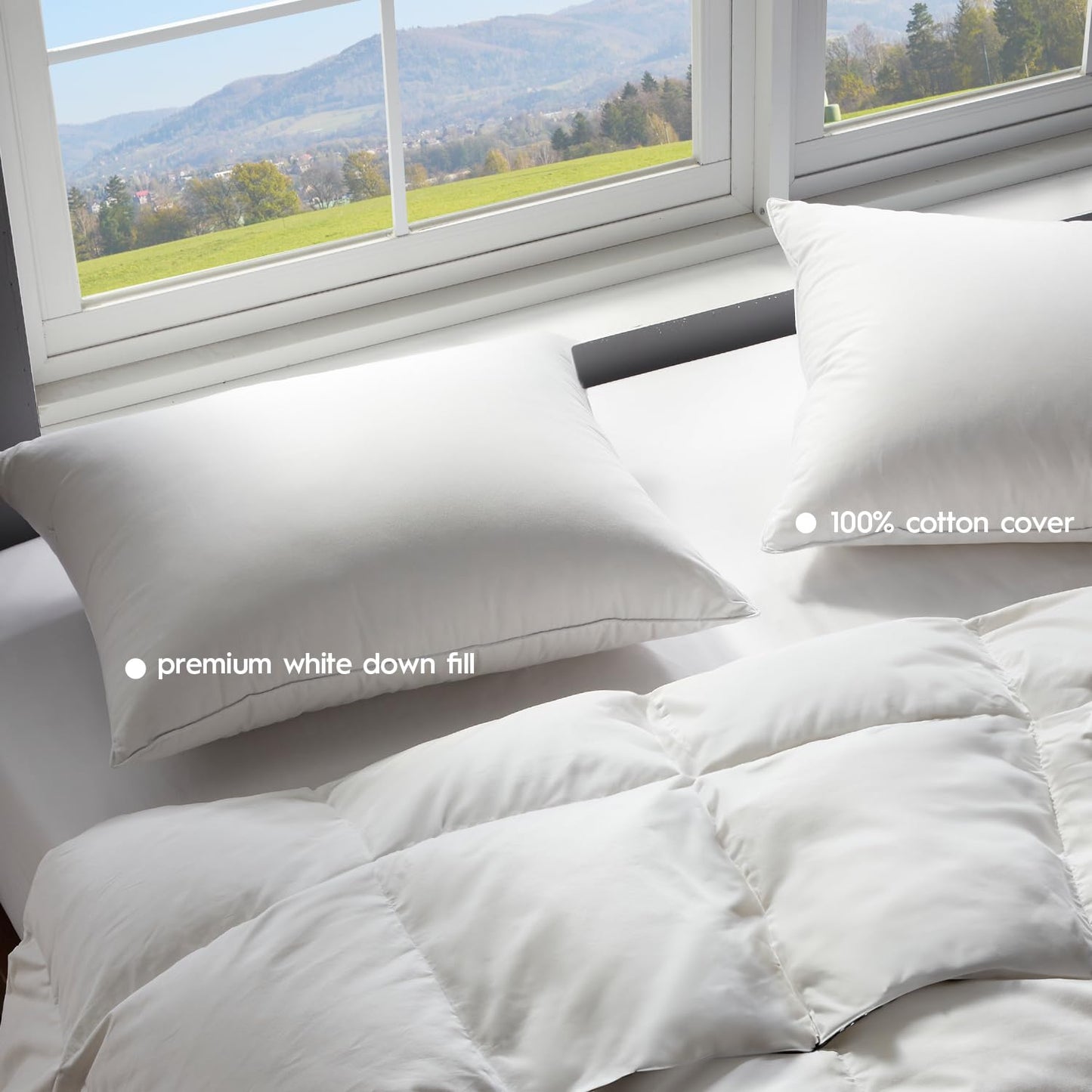 Globon Ultra Soft Down Pillow Standard Size Set of 2, Premium Down Filled Bed Pillow for Sleeping, 100% Cotton Shell 500 Thread Count 700 Fill Power, Hotel Collection Down Feather Pillow 20" x 26"