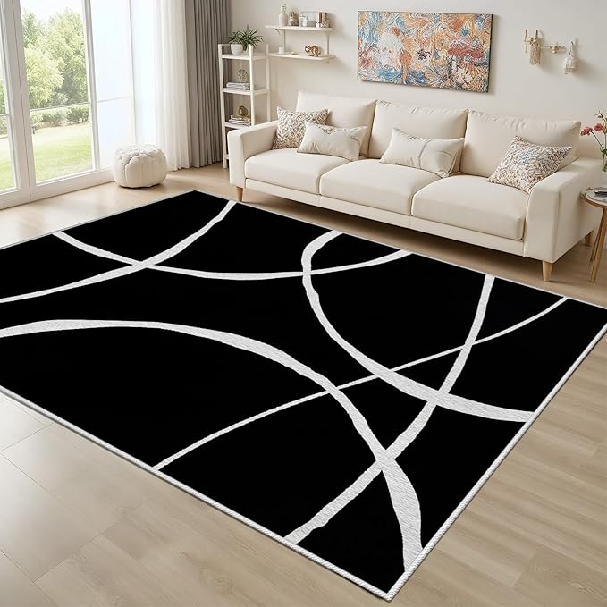 Black and White Rugs, Abstract Rug, Modern Minimalist Rug, Curved Line Design Carpet, Black and White Abstract Rugs Washable Non Slip Home Decor 6x8