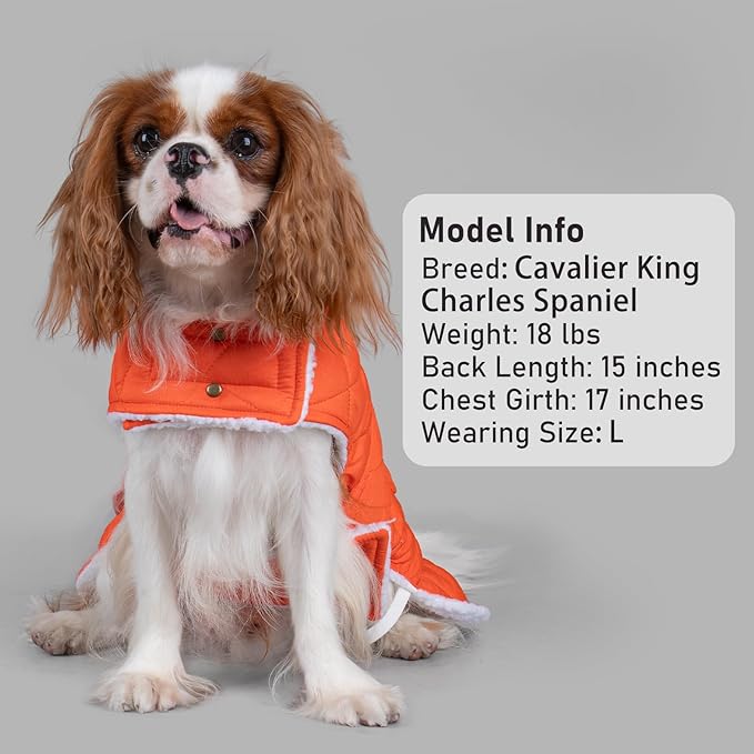 KYEESE Dog Coat Waterproof Dogs Jacket with Fleece Lined Thick Pets Clothes with Pocket Warm Pet Winter Puffer Coat with Leash Hole Soft Pet Sweater for Cold Weather Windproof Dog Coats for Small Dogs
