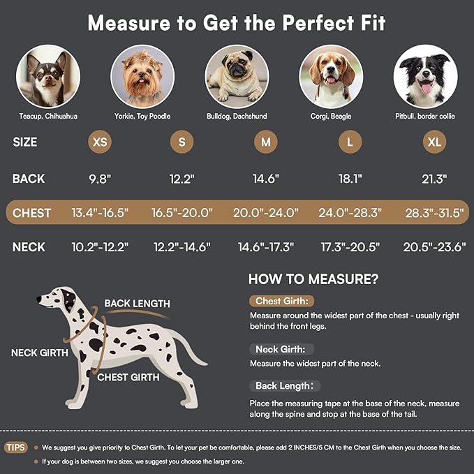Queenmore Dog Winter Coat Warm Dog Jacket for Cold Weather, Quilting Puffer Plaid Coats for Small/Medium Dogs Waterproof,Girl/Boy Pet Christmas Coat,Pet Snowsuit with Leash Hole/Fleece Padding, S