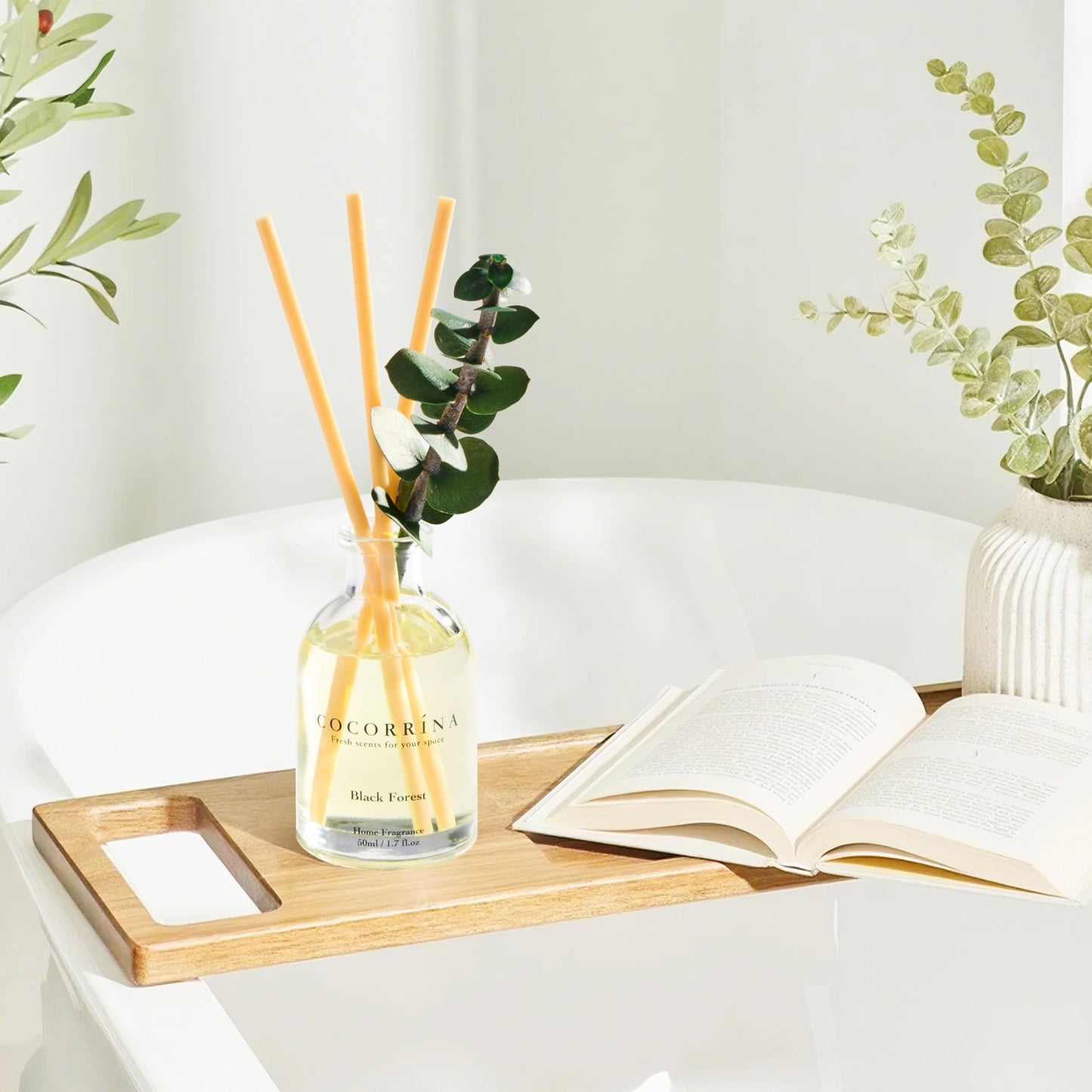 COCORRÍNA Eucalyptus Reed Diffuser Set of 3 - Lavender Eucalyptus, Black Forest, Clean Cotton Scents, 1.7 fl oz Each, Total 5.1 oz, Scented Oil Diffusers for Home & Office﻿