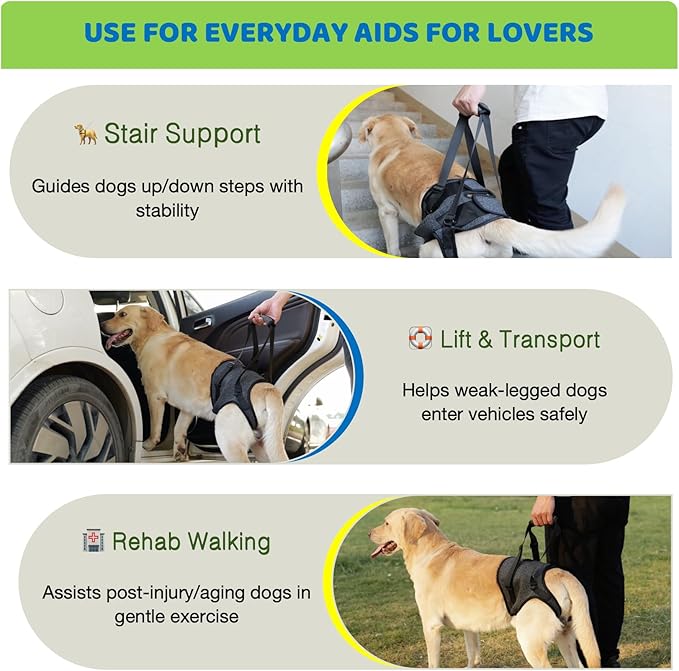 BARDIMIES Dog Lift Harness for Back Legs–Sturdy Dog Support Sling–Hip Sling Carrier for Large Medium Canine, Stair Helper for Aid Old Ligament Rehabilitation Pet, Grey,L