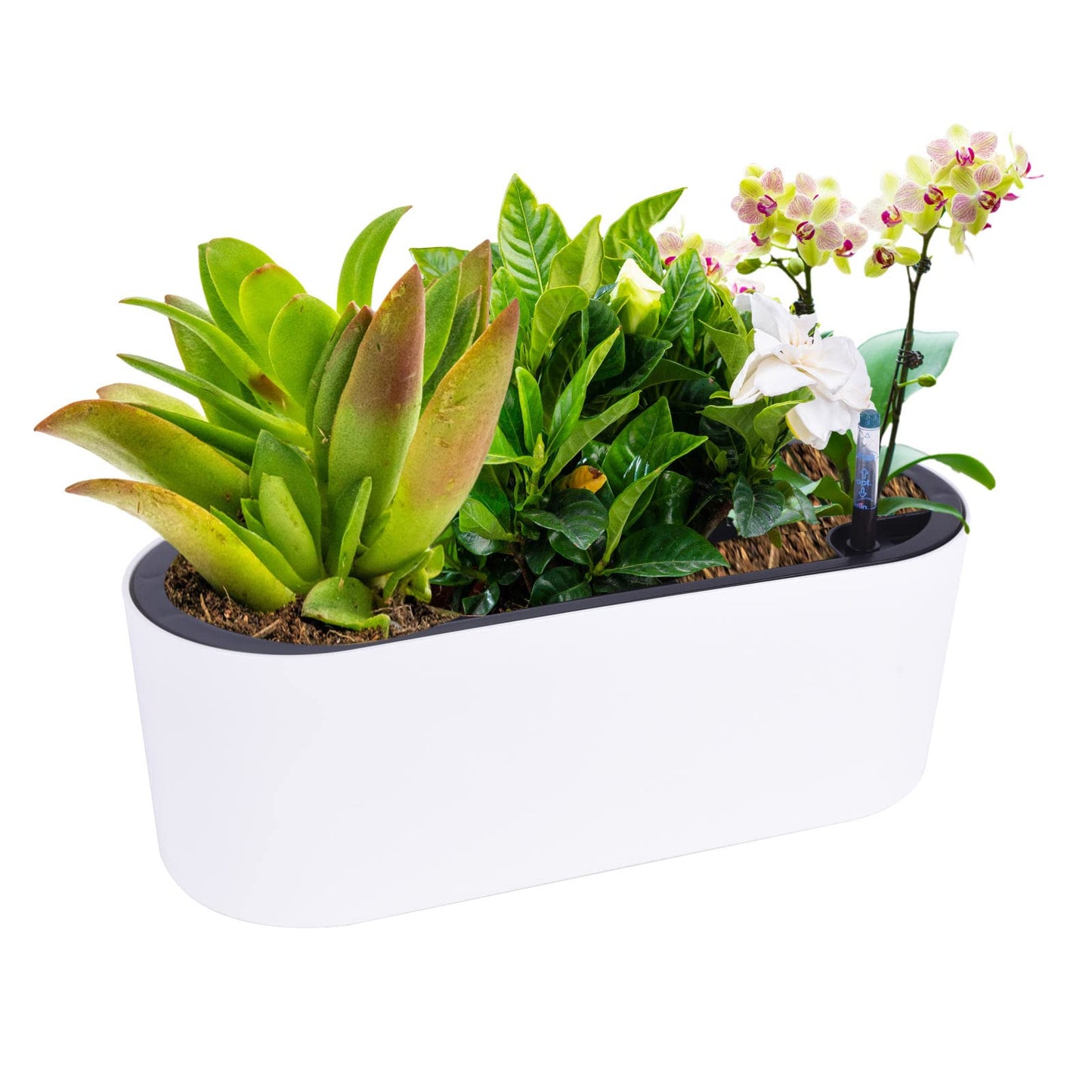 Vencer 16.5 Inch Rectangular Modern Self Watering Planters,White,VF-A17-W