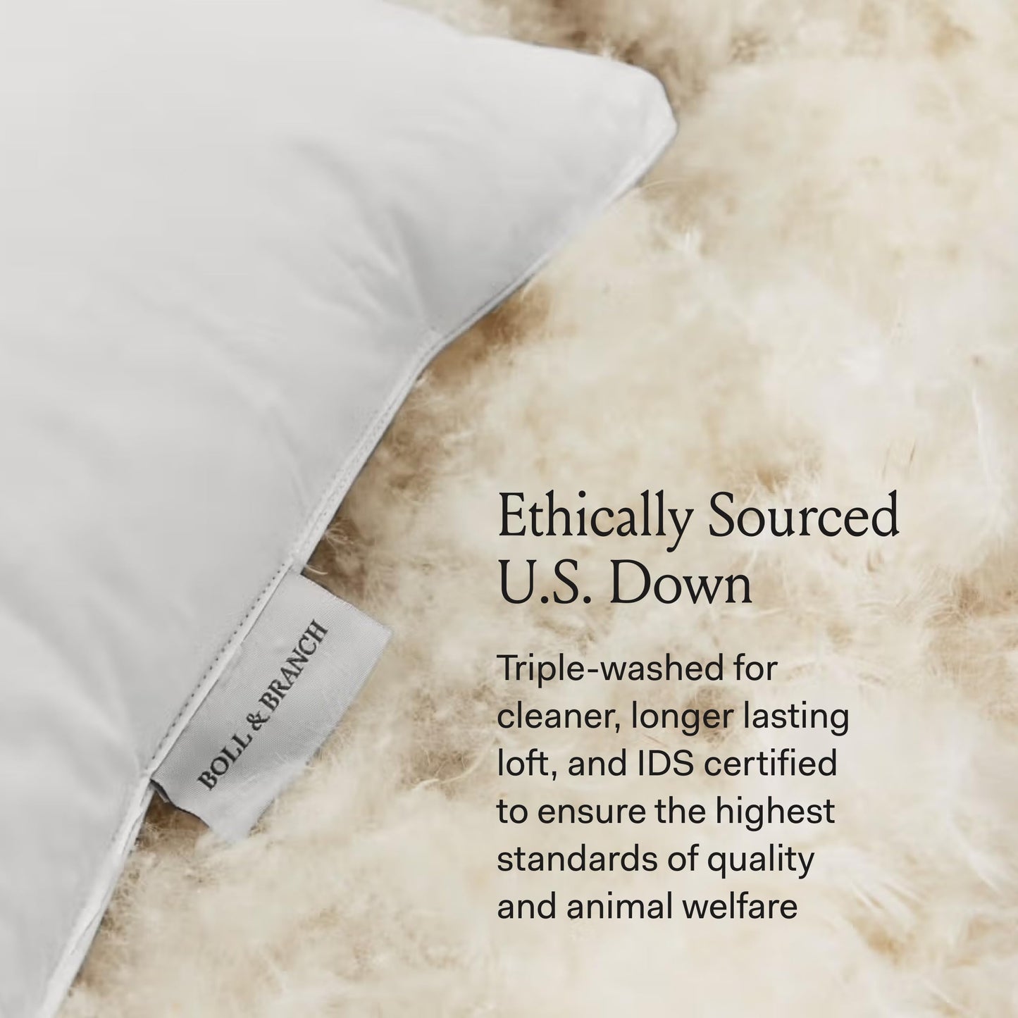 BOLL & BRANCH Down Chamber Pillow - Firm, King - Naturally Cooling Shell - Premium Comfort, Superior Support - Cruelty-Free IDS Certified Down