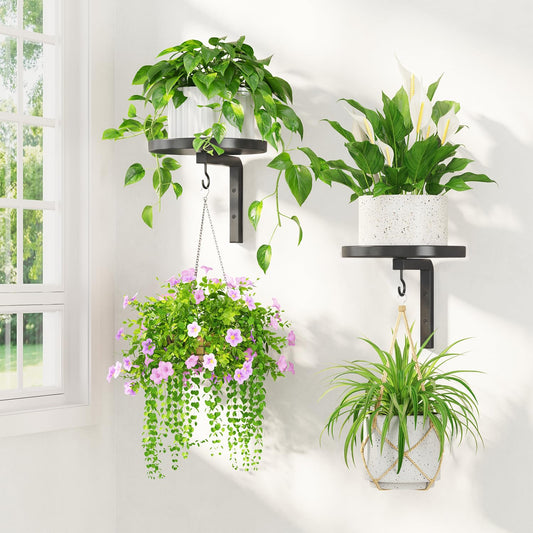 LASZOLA Plant Hangers Holder Wall Mounted Indoor, Metal Window Plant Shelves, 2Pcs Modern Floating Flower Display Stand with 2 Hooks for Outdoor Kitchen Bathroom Decor, Black