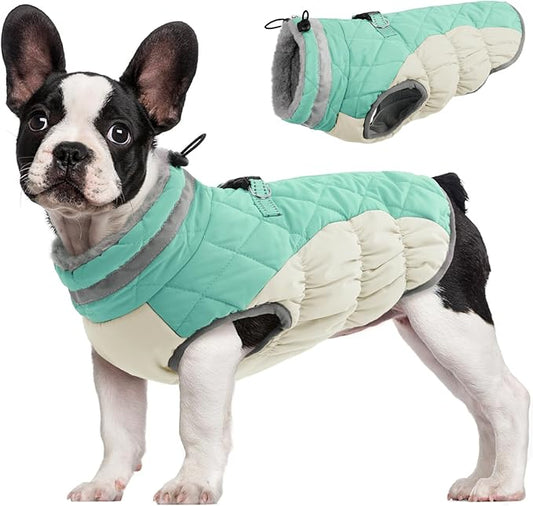 FUAMEY Dog Coat for Small Dogs,Waterproof Dog Winter Jacket with Harness Built in Puppy Cold Weather Coats Reflective Pet Vest with Zipper Warm Fleece Dogs Snowsuit Windproof Mint Green XS