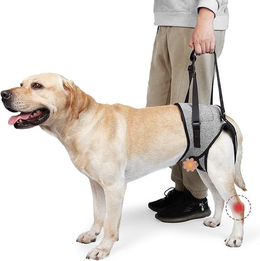 ROZKITCH Dog Lift Harness, Pet Rear Support Aid Veterinarian Approved Sling for Old K9 Help with Poor Stability, Back Leg Hip Disabled Joint Injury Elderly Arthritis ACL Rehabilitation Rehab Grey XL