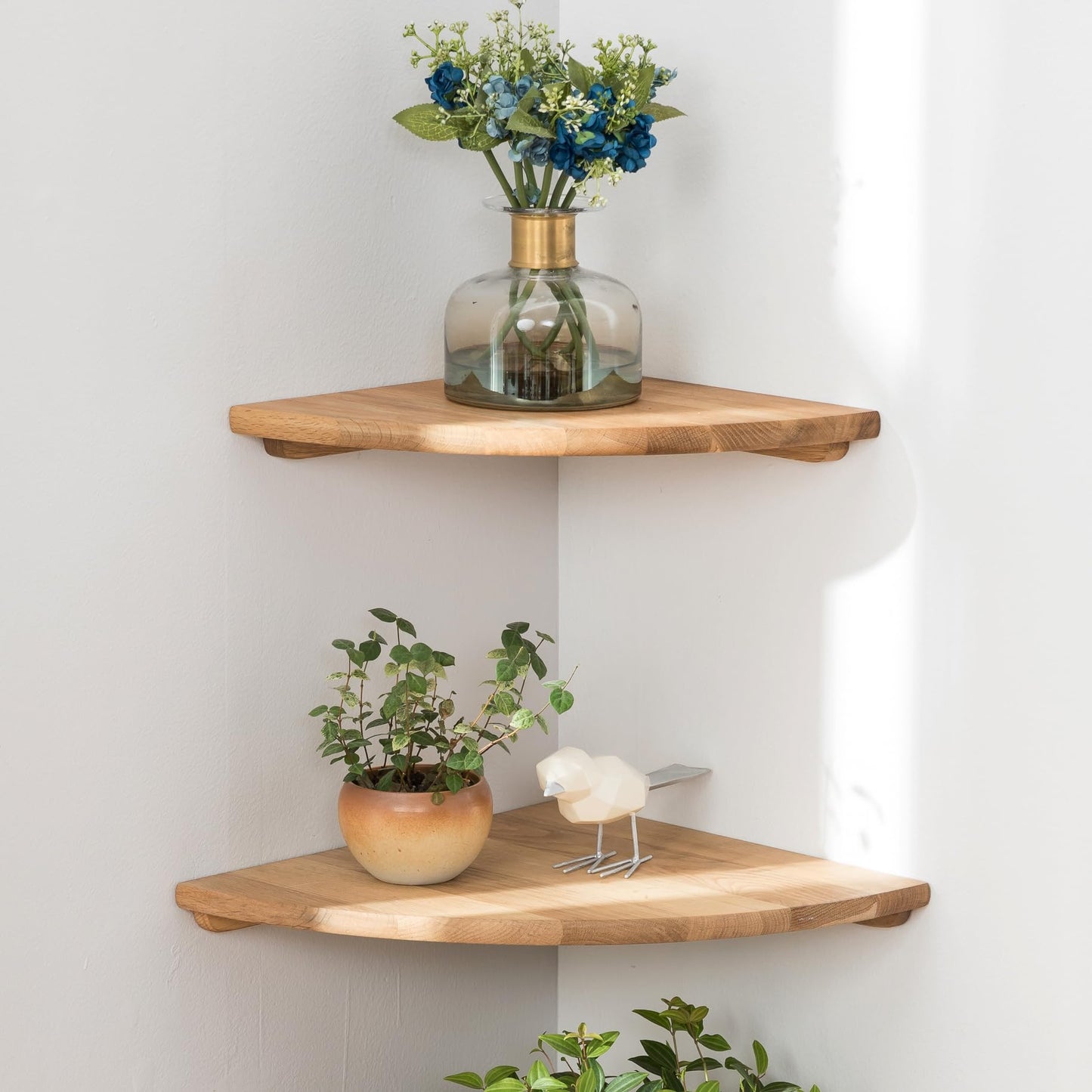 Conamily Corner Shelves, Floating Corner Shelf, Set of 2 7inch Solid Oak Wood Wall Shelves, Round End Wall Mount with Wire Hole Shelving for Small Plant for Bedroom Kitchen, Living Room