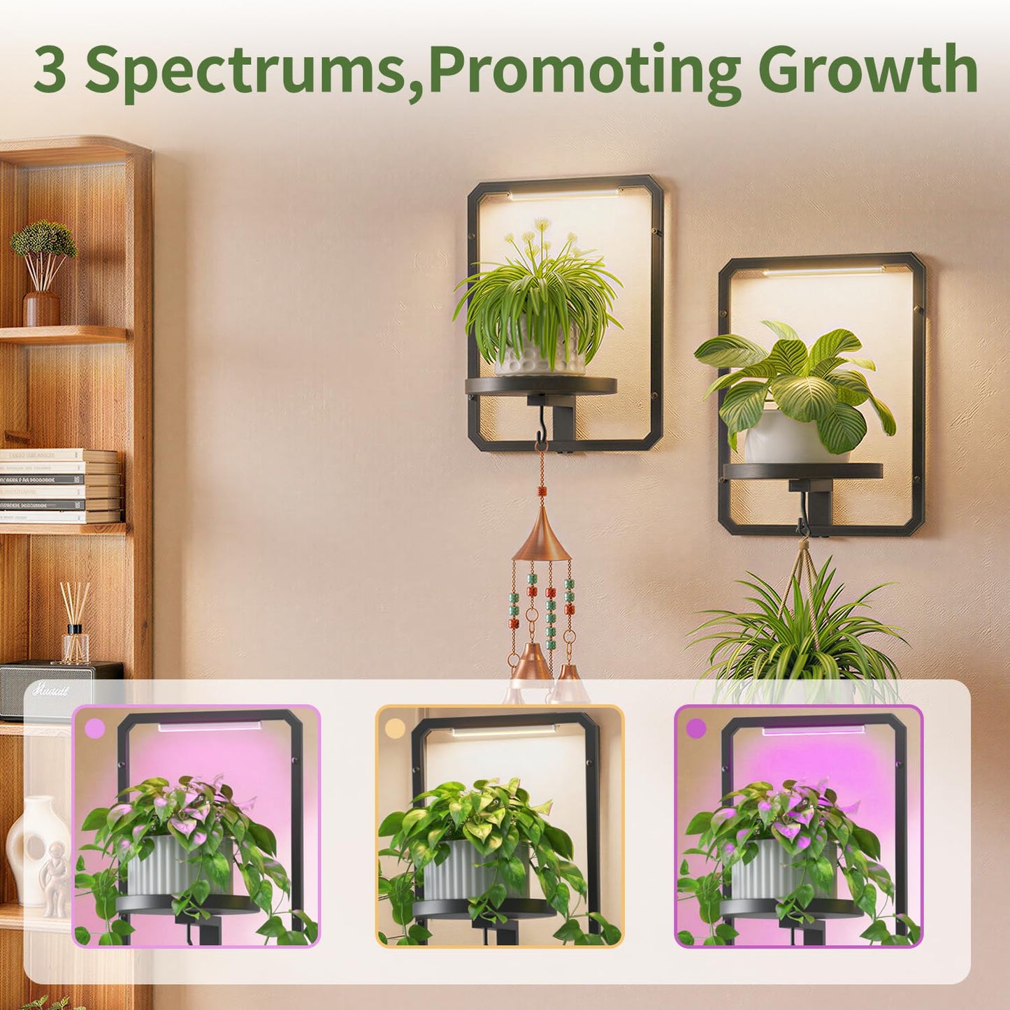 LASZOLA Plant Picture Frame Holder Wall Mount Indoor Window with 3 Grow Light, 3 Pack Modern Floating Flower Stand Shelf with Hooks, Metal Hanger Display Decor for Living Room, Black