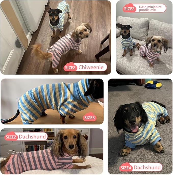 HowlyWoof Dachshund Dog Shirt, Thin Striped Base Layer Onesie for Wiener Dogs, Lightweight All-Season Wear, Soft & Comfy Fit for Doxie and Short-Leg Breeds (Blue&Yellow, Size 2 (11-16 lbs))