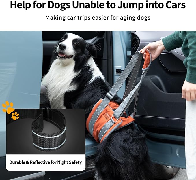 ExploreU Dog Sling for Back Legs Dog Lift Harness Magic Tape Hip Support Harness Rehab to Help Senior,Injured,Arthritis,Hip Dysplasia,Weak Rear Leg,Disabled,After ACL/CCL Surgery,TPLO Dogs (Brown, L)