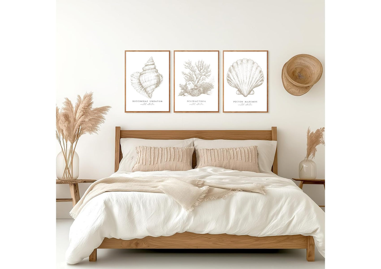 3 Pcs Beige White Set Seashell and Coral Wall Art Ocean Shell Canvas Wall Decor Pictures Neutral Beach Canvas Posters Prints for Living Room Bedroom Corridor Bathroom 12X16 in Unframed