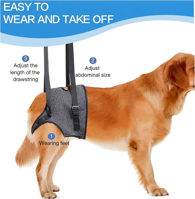BARDIMIES Dog Lift Harness for Back Legs–Sturdy Dog Support Sling–Hip Sling Carrier for Large Medium Canine, Stair Helper for Aid Old Ligament Rehabilitation Pet, Grey,M