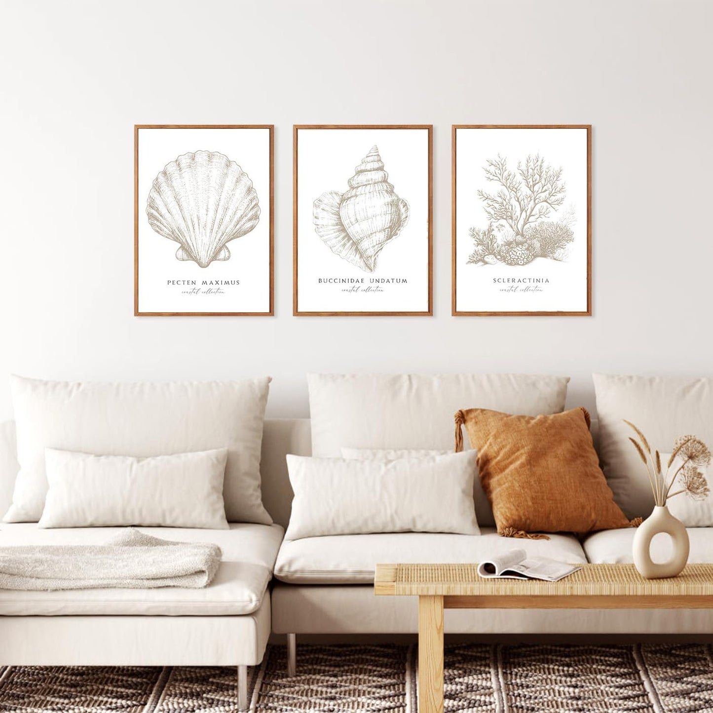 3 Pcs Beige White Set Seashell and Coral Wall Art Ocean Shell Canvas Wall Decor Pictures Neutral Beach Canvas Posters Prints for Living Room Bedroom Corridor Bathroom 12X16 in Unframed