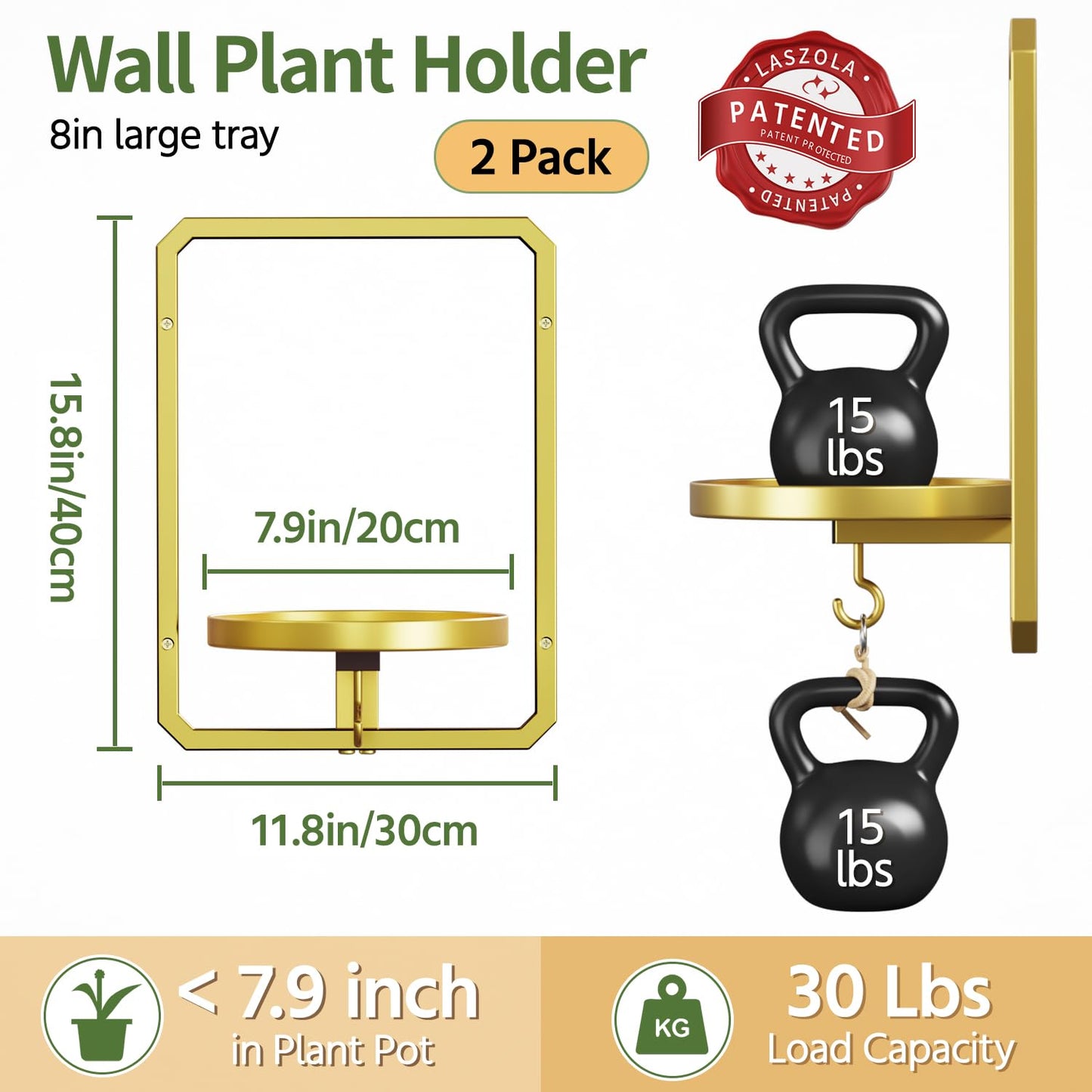 LASZOLA Plant Picture Frame Holder Wall Mount Indoor Window with 2 Grow Light, 2 Pack Modern Floating Flower Stand Shelf with Hooks, Metal Hanger Display Decor for Living Room, Gold