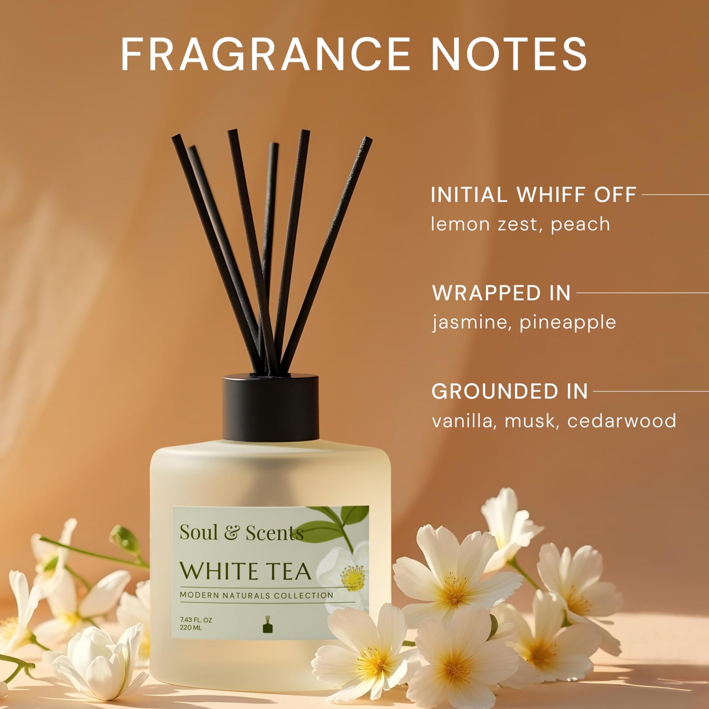 Soul & Scents Reed Diffuser Set – White Tea | 7.43 oz Refillable Scented Oil with 6 Fiber Sticks | Long-Lasting Home Fragrance & Air Freshener for Bedroom, Bathroom, Office | Gift & Décor Piece