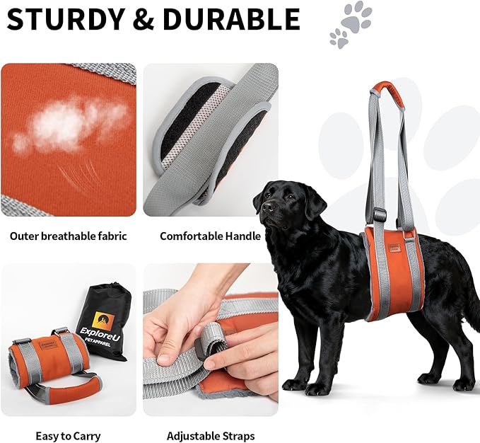 ExploreU Dog Sling for Back Legs Dog Lift Harness Magic Tape Hip Support Harness Rehab to Help Senior,Injured,Arthritis,Hip Dysplasia,Weak Rear Leg,Disabled,After ACL/CCL Surgery,TPLO Dogs (Brown, M)