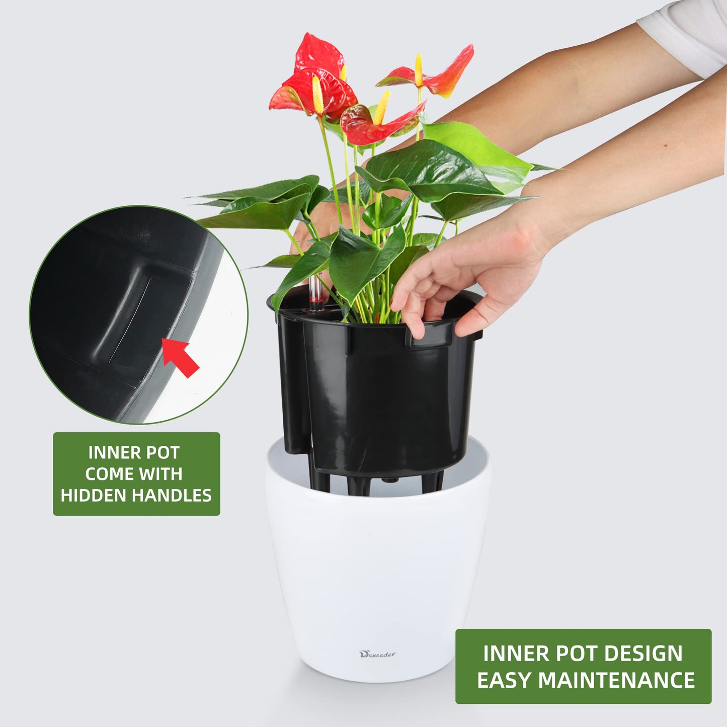 Dexceder 9x8 Self Watering Planter (White High Gloss)