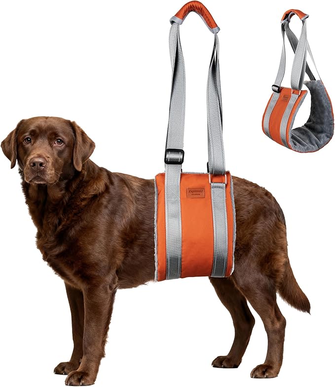 ExploreU Dog Sling for Back Legs Dog Lift Harness Magic Tape Hip Support Harness Rehab to Help Senior,Injured,Arthritis,Hip Dysplasia,Weak Rear Leg,Disabled,After ACL/CCL Surgery,TPLO Dogs (Brown, XL)