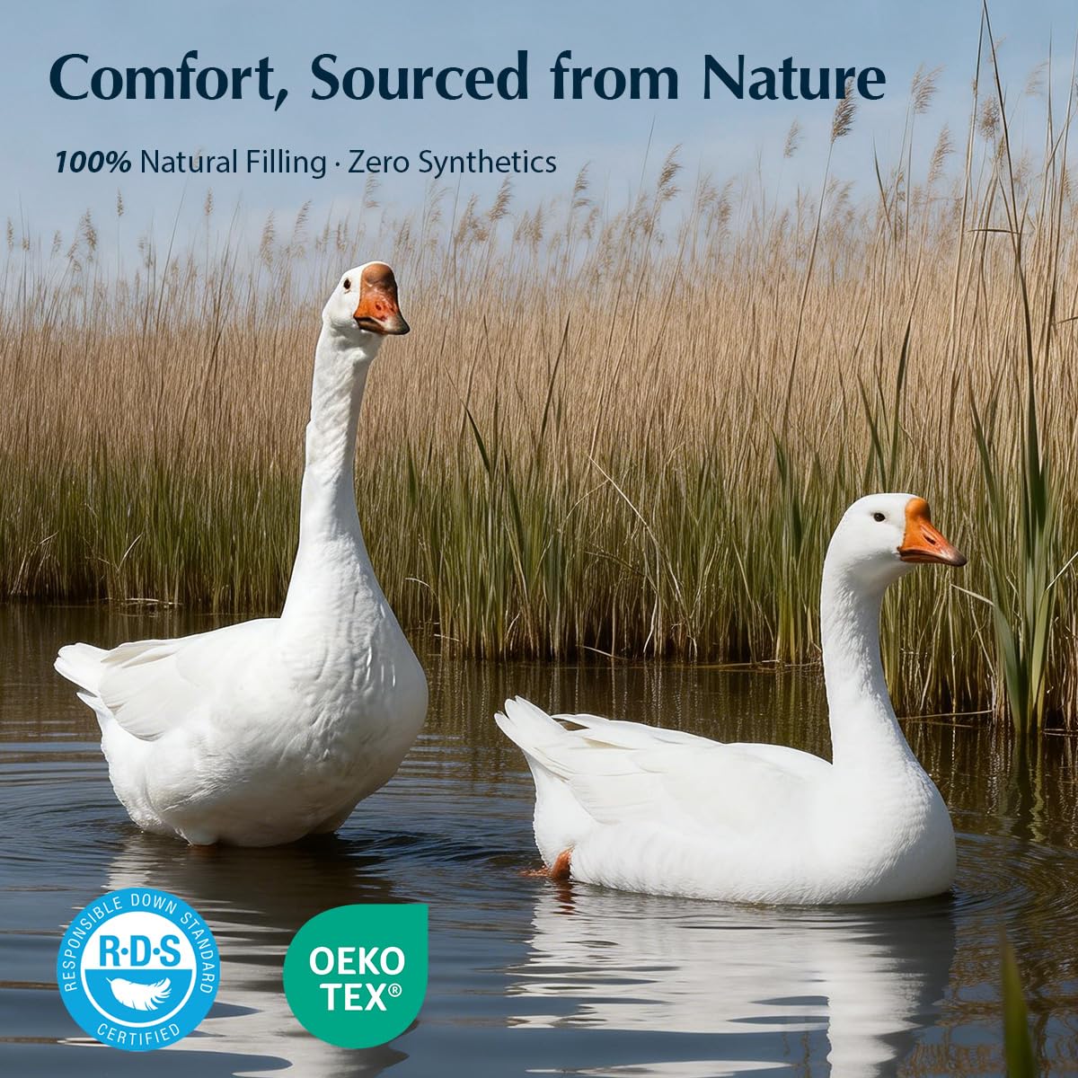 Pacific Coast Premium Goose Down Fiber Comforter Queen Size, 420TC 100% Australian Cotton Shell, All-Season Comforter with Hidden Baffle Box & Double-Stitched Piping (90"x90")