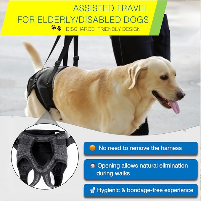 BARDIMIES Dog Lift Harness for Back Legs–Sturdy Dog Support Sling–Hip Sling Carrier for Large Medium Canine, Stair Helper for Aid Old Ligament Rehabilitation Pet, Grey,S