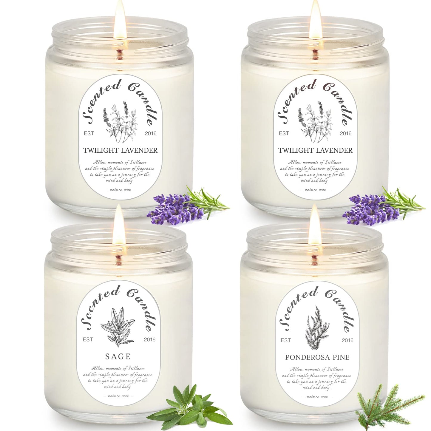 Scented Candle Gift Set, 4 Pack Soy Wax Scented Candles for Home – Lavender, Sage & Ponderosa Pine – Aromatherapy Candles for Relaxation, Stress Relief & Gifts for Women
