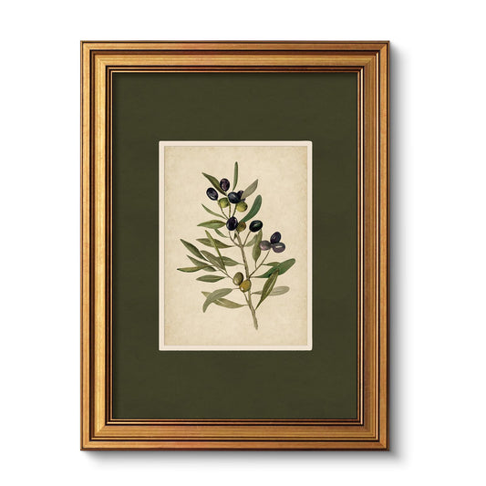 VIYYIEA Vintage Gold Framed Wall Art, Olive Canvas Painting, Vintage Olive Tree Decor for Kitchen, Farmhouse Aesthetic Botanical Pictures, Minimalist Canvas for Bedroom Bathroom Living Room, 12x16inch