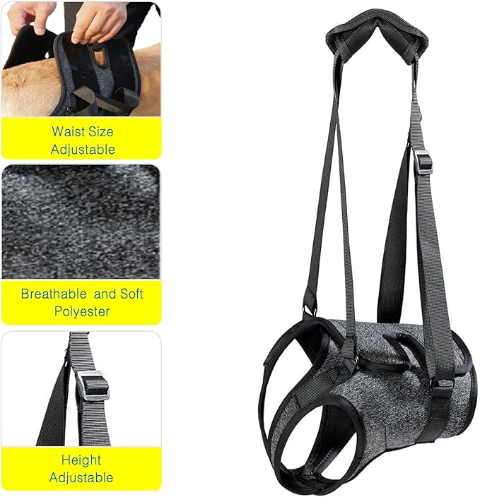 BARDIMIES Dog Lift Harness for Back Legs–Sturdy Dog Support Sling–Hip Sling Carrier for Large Medium Canine, Stair Helper for Aid Old Ligament Rehabilitation Pet, Grey-XL