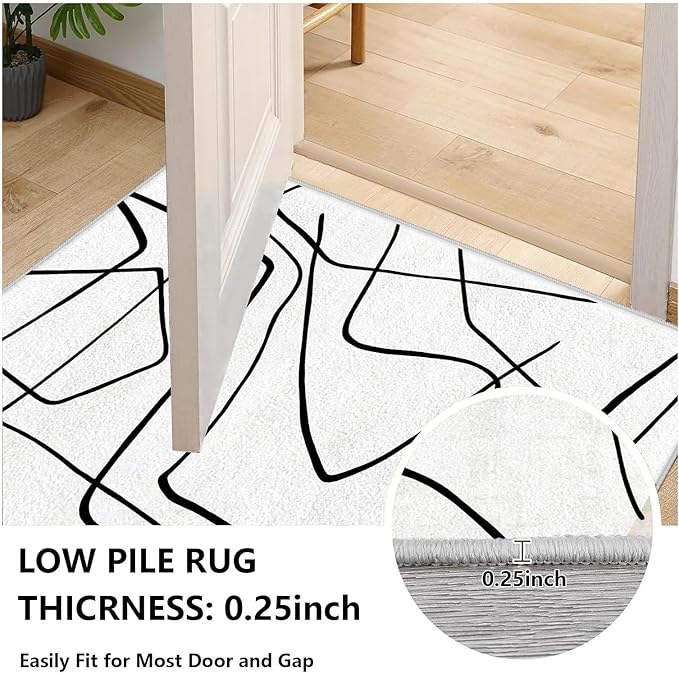 Black and White Rug - Abstract Area Rug, Black and White Rugs for Living Room, Modern Minimalist Washable Rugs, Contemporary Carpet Non Slip Home Decor, Curve 4x5