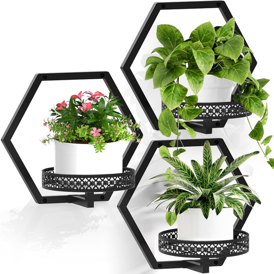 JOPBENG 3 Packs Wall Planters for Indoor Plants, 7.9inch Metal Wall Plant Holder Hanger Wall Decor, Wall-Mounted Hanging Planters Window Plant Shelves Outdoor (Black Openwork)