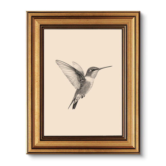 VIYYIEA Vintage Gold Framed Wall Art, Sketch Birds Canvas Painting, Cute but Exquisite Wall Decor, No Glass No Glare, Suitable for Bedside Tables, Foyer, Bookshelves,【Hummingbird】-10L x 8W