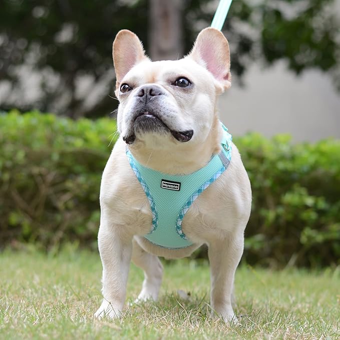Mercano Soft Mesh Dog Harness and Leash Set, No-Chock Step-in Reflective Breathable Lightweight Easy Walk Vest Harnesses with Safety Buckle for Small Dogs, Cats (Light Green, M)