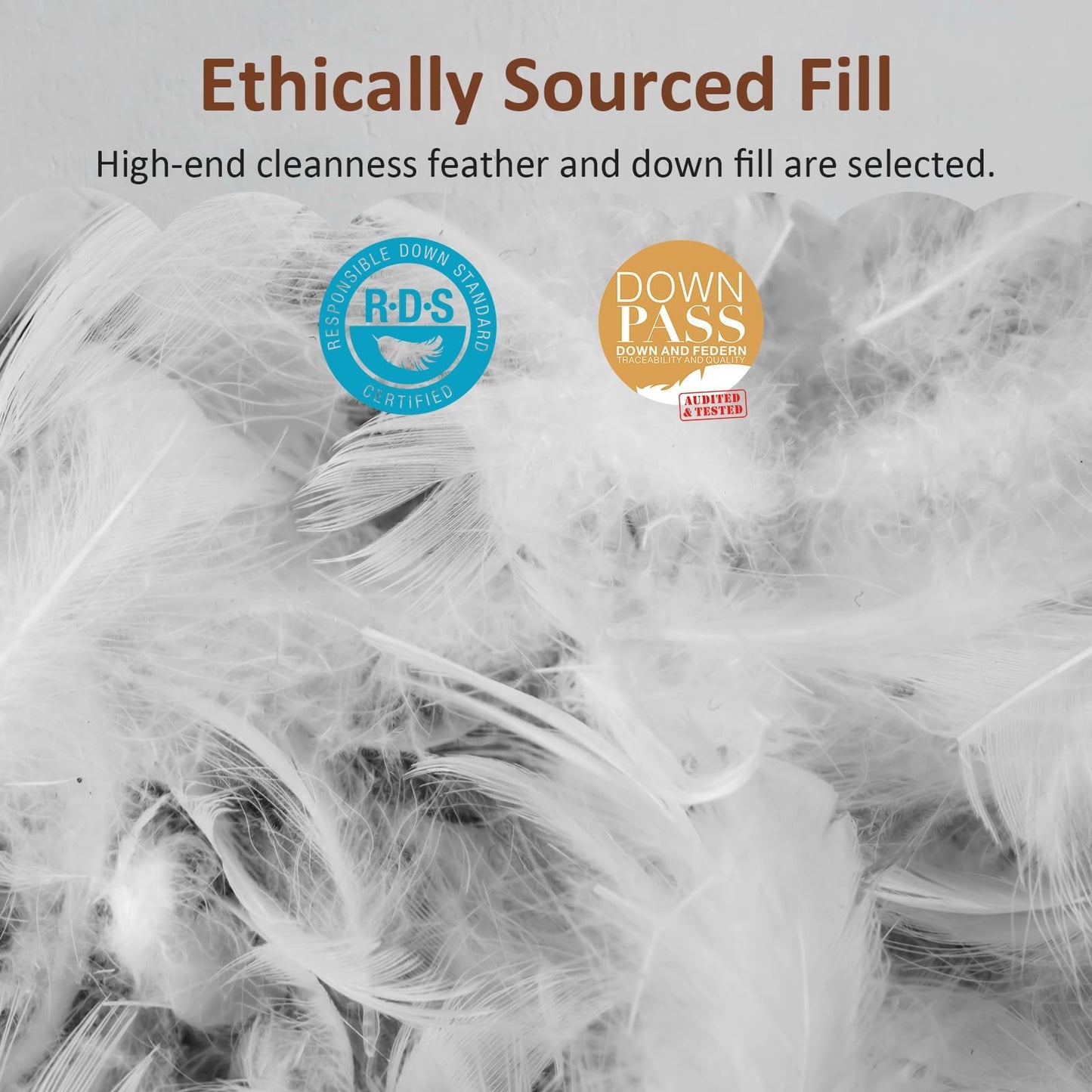 AIKOFUL Luxury Feathers Down Pillow Queen Size, Hotel Quality Fluffy Bed Pillow, Soft Pillow for Sleeping, Organic Cotton Cover(20x28”, Pack of 1)