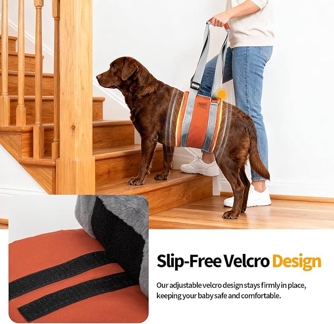 ExploreU Dog Sling for Back Legs Dog Lift Harness Magic Tape Hip Support Harness Rehab to Help Senior,Injured,Arthritis,Hip Dysplasia,Weak Rear Leg,Disabled,After ACL/CCL Surgery,TPLO Dogs (Brown, XL)