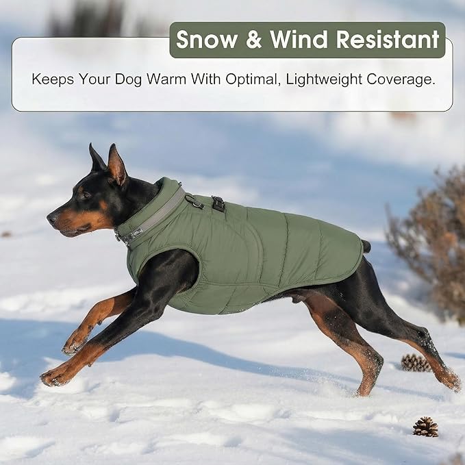 SAWMONG Dog Coat, Warm Dog Winter Coat, Waterproof Fleece Jacket, Cold Weather Dogs Jacket (XS,Green)