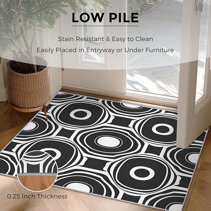 Black and White Geometric Rugs for Home Decor, 3x4 ft, Ring Circle Area Rugs for Living Room, Soft Non Slip Washable Modern Abstract Carpet Bedroom Decorations Dt-Ghf-31