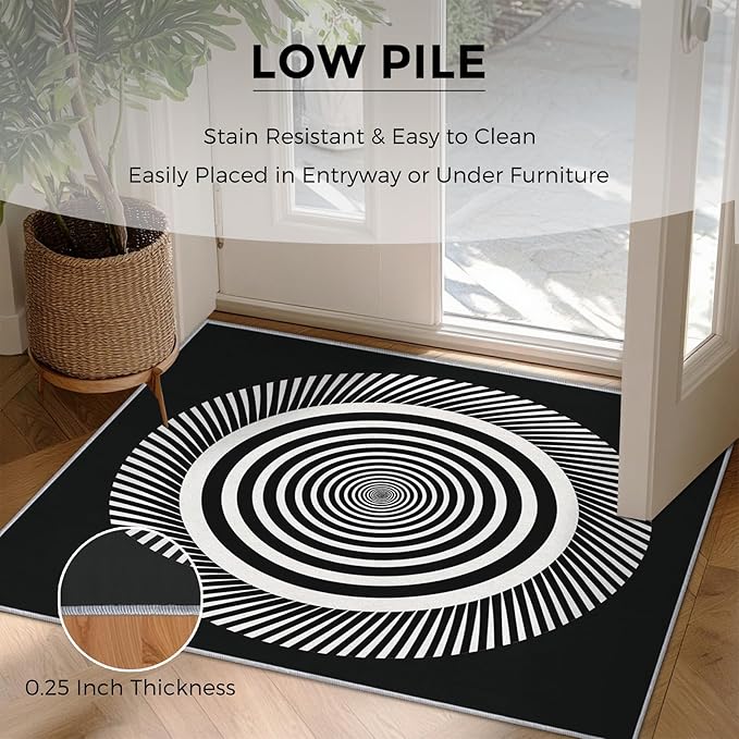 Black and White Circle Rugs for Home Decor, 4x6 ft, Abstract Op Art Area Rugs for Living Room, Soft Non Slip Washable Modern Geometric Carpet Bedroom Decorations Dt-Ghf-31