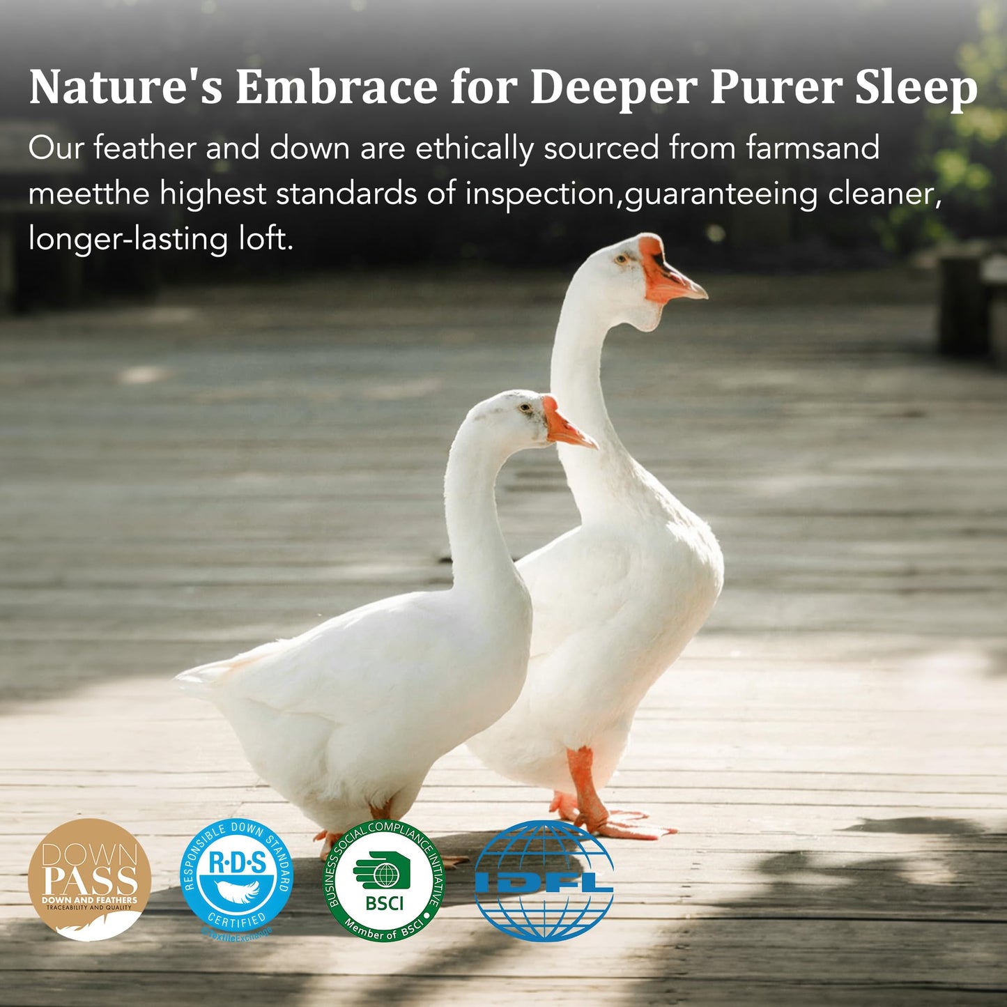 HYVIF Bed Pillow, Luxury Hotel Feather and Down Pillow for Side and Back Sleepers with Premium Cotton Shell, Gusseted Pillows for Sleeping, Soft and Supportive, Downproof, Queen Size 2 Pack