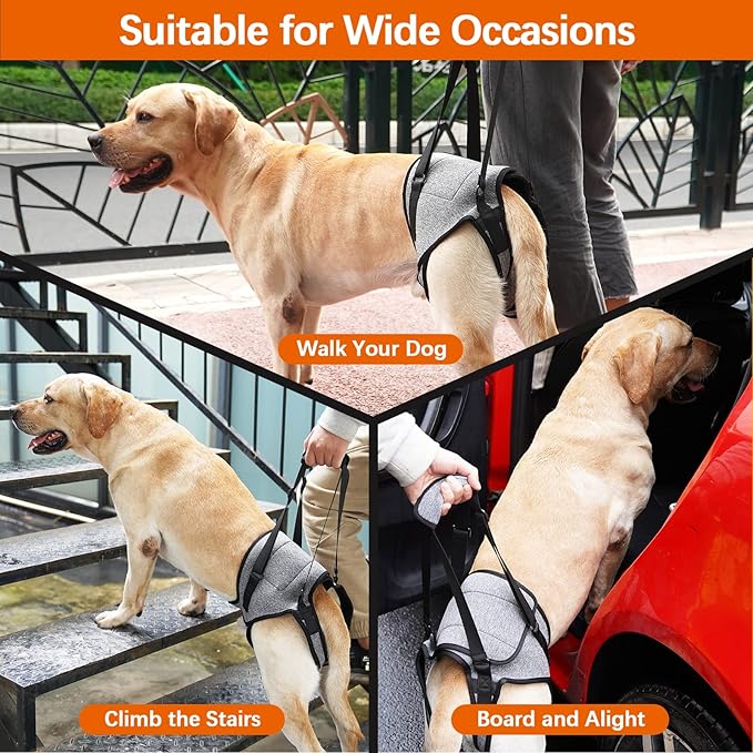 ROZKITCH Dog Lift Harness, Pet Rear Support Aid Veterinarian Approved Sling for Old K9 Help with Poor Stability, Back Leg Hip Disabled Joint Injury Elderly Arthritis ACL Rehabilitation Rehab Grey M