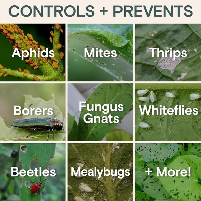 Organic Insecticide Liquid Concentrate – Plant Spray for Indoor & Outdoor Use – Controls Fungus Gnats, Aphids, Whiteflies, Mealybugs & Spider Mites – Houseplant & Garden Insect Killer, Fast-Acting