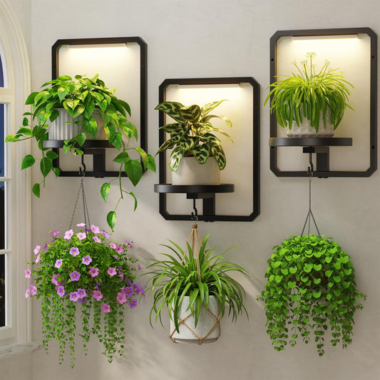 LASZOLA Plant Picture Frame Holder Wall Mount Indoor Window with 3 Grow Light, 3 Pack Modern Floating Flower Stand Shelf with Hooks, Metal Hanger Display Decor for Living Room, Black