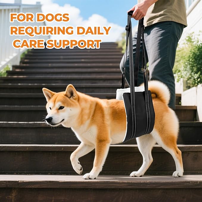 Jestrem Dog Lift Harness, Adjustable Comfortable Dog Sling with Handle for Large Dog Knee Brace for Torn ACL Hind Leg, Weak Rear Legs, Helps Senior, Injured, Disabled,M