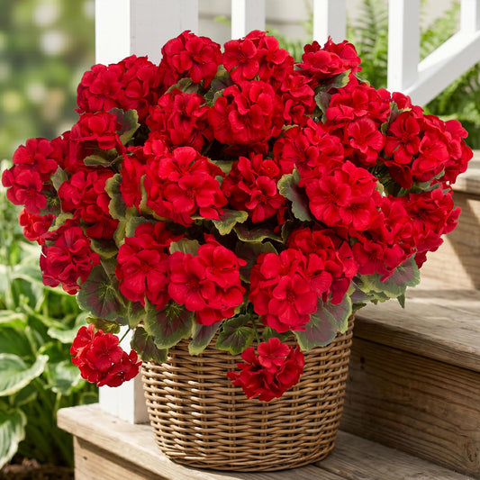 lovemoon 8 Pcs Artificial Geranium Plant Realistic Silk Flowers for Outside UV Resistant Faux Geraniums Flowers for Indoor Outdoor Home Garden Office Decoration (8, Red)
