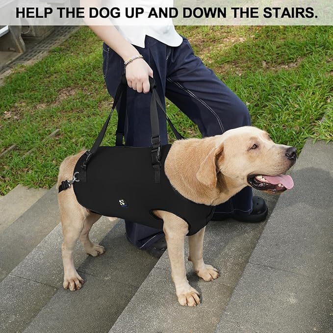 Coodeo Dog Lift Harness, Pet Support & Rehabilitation Sling Lift Adjustable Padded Breathable Straps for Old, Disabled, Joint Injuries, Arthritis, Loss of Stability Dogs Walk (Black, L)