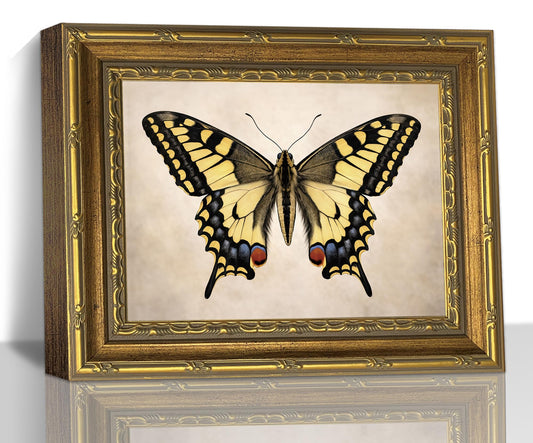 Vintage Swallowtail Butterfly Gold Framed Canvas Decor, 9x 11 Inch