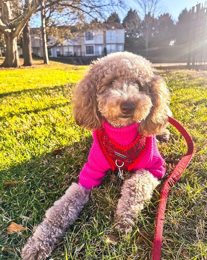 Fitwarm Valentines Dog Turtleneck Sweater, Dog Winter Clothes for Small Dogs Girl, Knitted Pet Coat, Cat Outfit, Hot Pink, XS