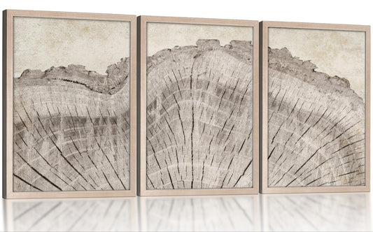 Framed Tree Ring Canvas Wall Art Set of 3, Rustic Nature Inspired Prints, Ready to Hang Artwork for Living Room Bedroom Bathroom, 12x16 Inch