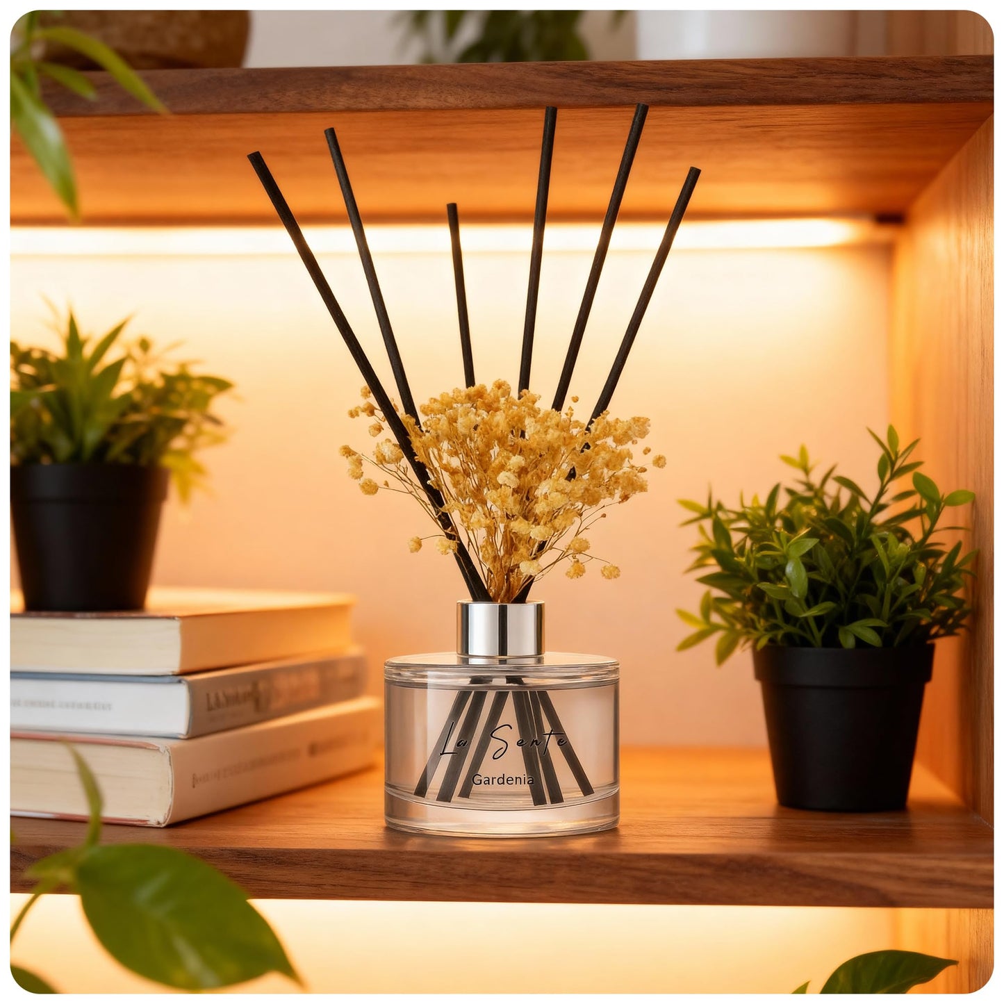 La Sente Reed Diffuser Set, Natural Gardenia, 6.7 fl oz / 200 ml