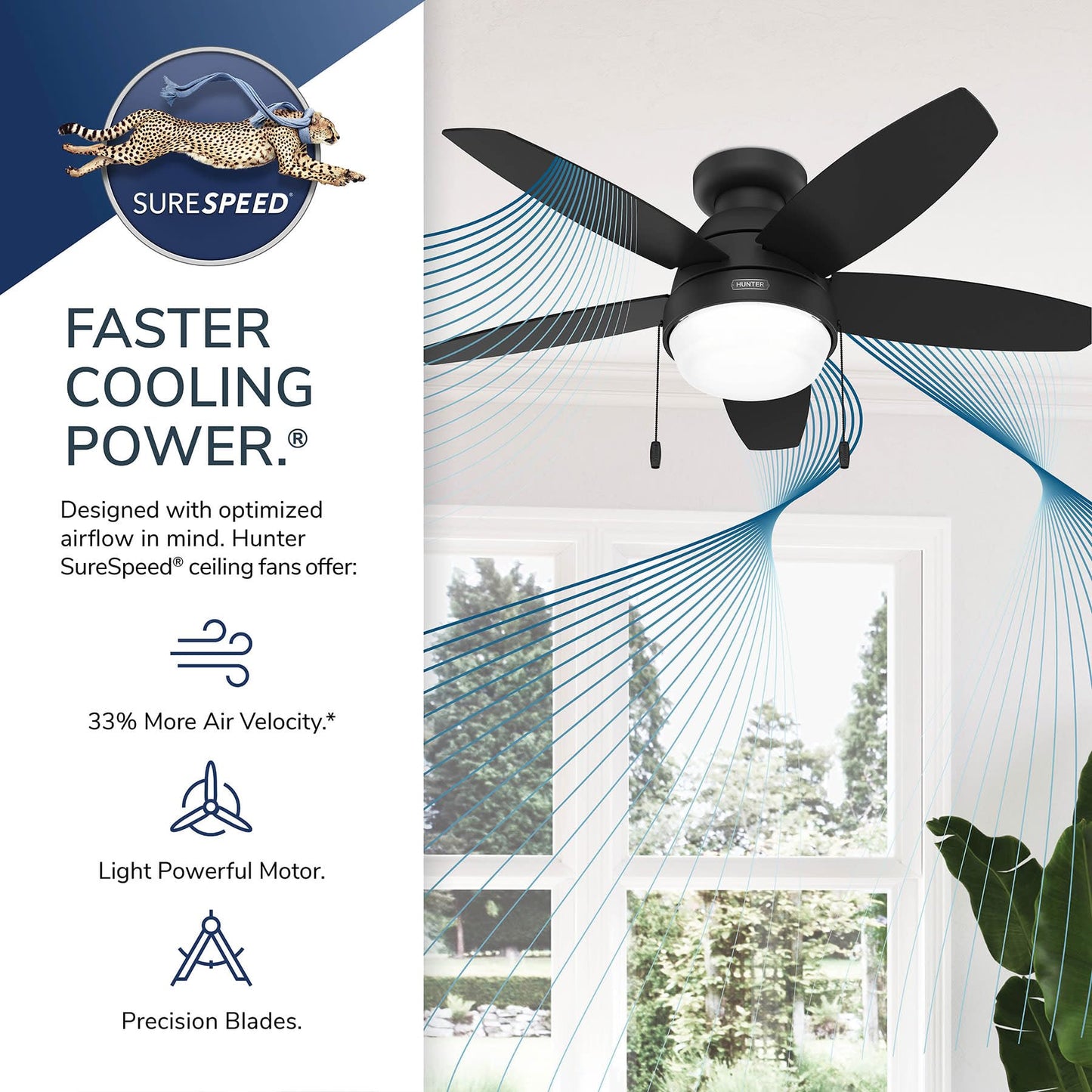 Hunter 44 inch Indoor Ceiling Fan with LED Light - Black Ceiling Fan with Pull Chain, For Bedroom, Living Room, or Kitchen, Low Profile Mount, No Remote, 5 Blades - Lilliana 52613, Matte Black